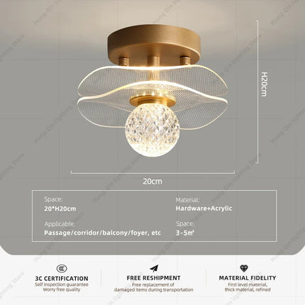 Plafonnier luxe pour éclairage intérieur moderne — LZ4X9Q2J