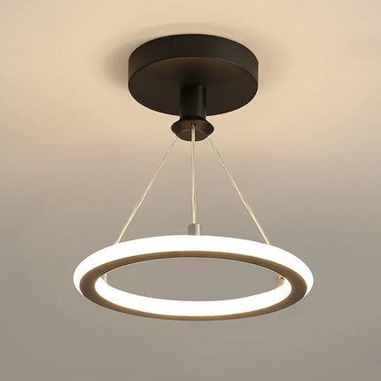 Suspension moderne et créative pour restaurant et bar — LZ4X9M