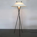 Diamètre 60 cm H 160 cm / Prise américaine