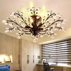 5 lumières