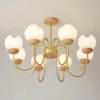 5 lumière / Lumière neutre