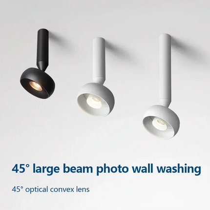 Spot LED rotatif réglable pour entrée et allée décorative — LZ4P9XQ