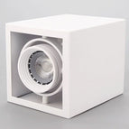 Blanc / Blanc chaud / 10 W à intensité variable