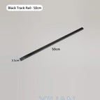 Rail de rail 50 cm
