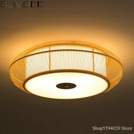 Lustre suspension en bambou fait main au style moderne et élégant — LZ4X9P