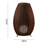 Brown-H123cm / cold light / AU plug