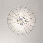Diamètre 60cm / Lumière froide