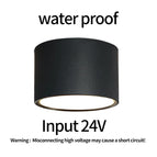 Input 24V / 18W D168xH100mm / warm light 3000K | CN