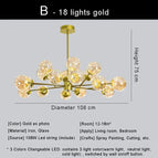 B or 18 lumières / Lumière naturelle / CHINE