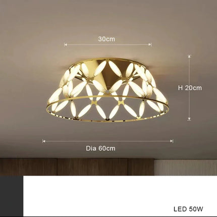 Plafonnier LED minimaliste avec abat-jour fantaisie design moderne — LZ4XJ9