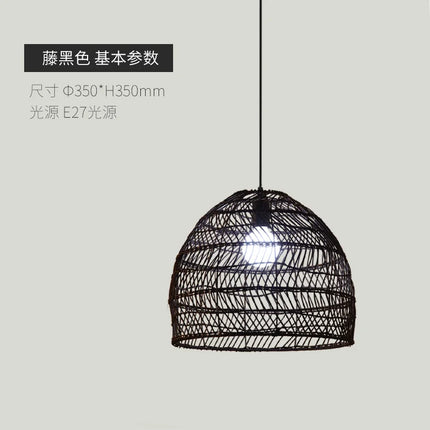 Suspension en rotin naturel pour décoration intérieure élégante — LZ4X9J