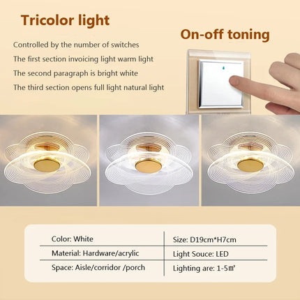 Plafonnier LED design en acrylique pour décoration intérieure — LZ4X9J