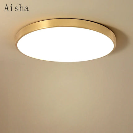 Plafonnier LED ultra fin pour intérieur moderne et élégant — LZ4X9T
