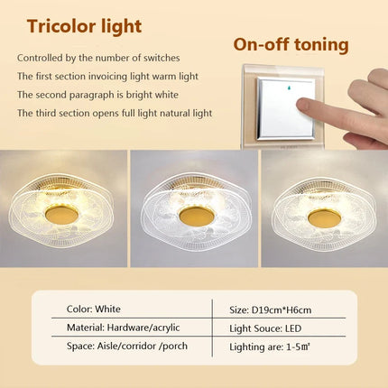 Plafonnier LED design en acrylique pour décoration intérieure — LZ4X9J