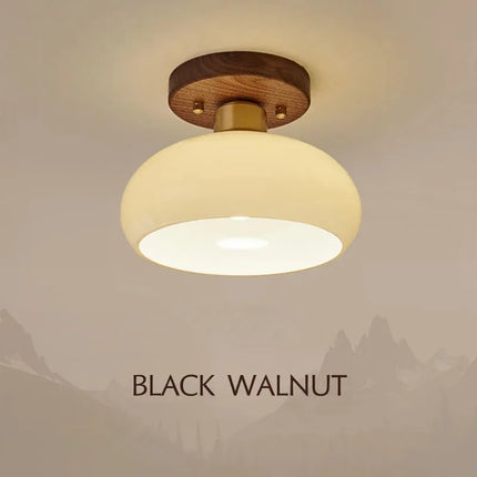 Plafonnier LED blanc pour hall, cuisine et salon — LZ4X9M2