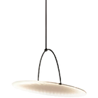 D50cm / Lumière blanche
