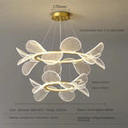 D 50-80cm / 3 modifiables