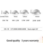 Cold White / WHITE / 30W Dimmable