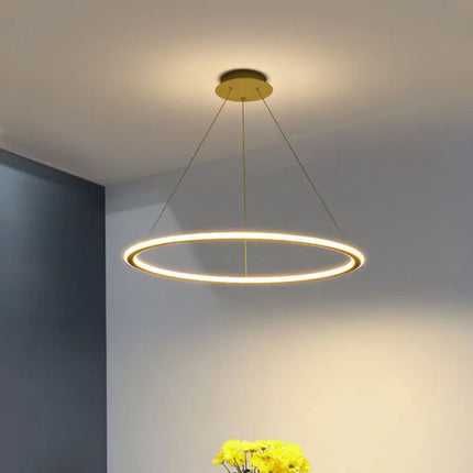 Suspension LED moderne pour décoration intérieure élégante — LZ4X9P