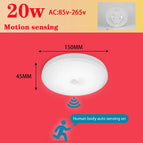 20W 150mm / Froide