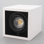 Blanc et noir / Blanc chaud / 10 W à intensité variable