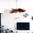 D80cm / Lumière blanche
