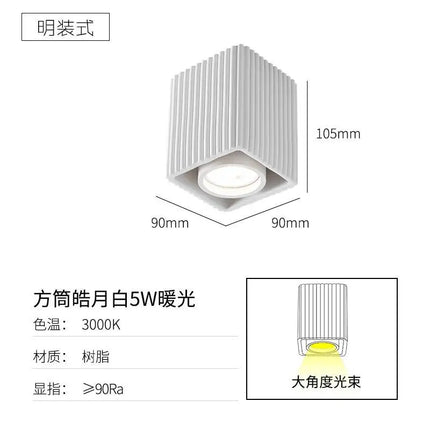 Plafonnier LED moderne pour intérieur et extérieur — LZ4D9X2