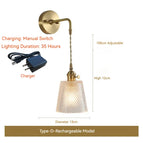 Modèle rechargeable D / Blanc chaud (2700-3500K) / 12 W (max. 100 W)