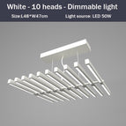 Blanc - 10 LED