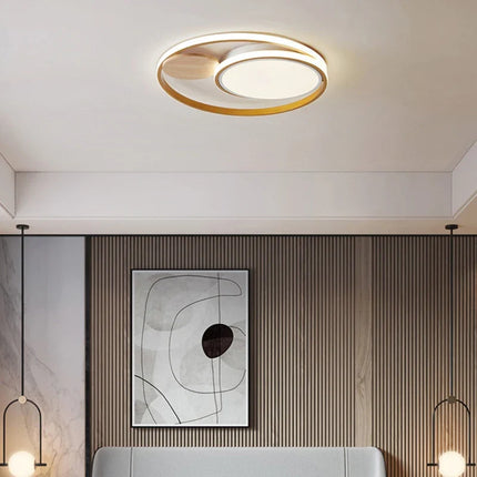 Plafonnier LED nordique créatif avec 2 styles et lumière chaude — LZ4X9T2