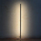 Lampadaire en frêne / Lumière chaude / Prise UE