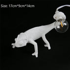 Lampe de table B