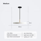 LPL124 Blanc 30cm / Gradation continue-RC