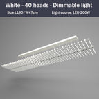 Blanc - 40 LED