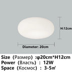 Plafonnier D20CM A / Promesse avec télécommande