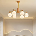 5 lumière / Lumière blanche