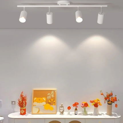 Plafonnier LED moderne pour éclairage décoratif élégant — LZ4X9T2