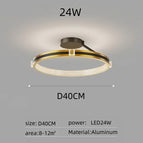 D40CM-24W / Lumière 3 couleurs
