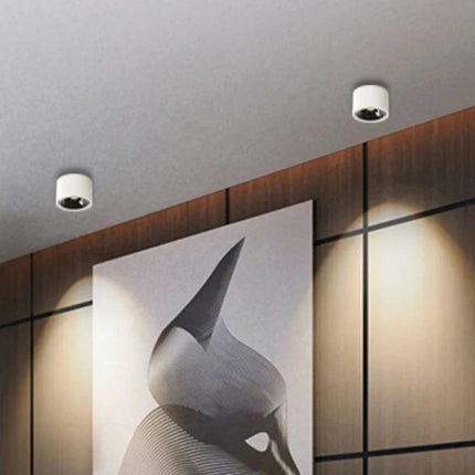 Spot LED ultra-mince réglable anti-éblouissement — LZ4P9XQ