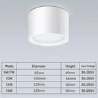 Blanc / Dimmable / Blanc chaud | 7W