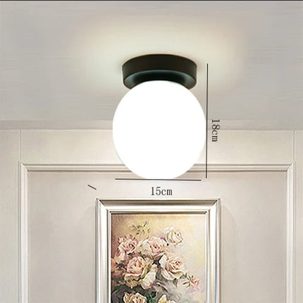 Plafonnier rond boule en verre LED pour salon et couloir — LZ4X9P
