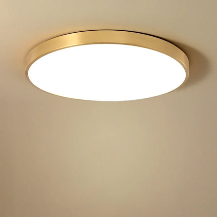 Plafonnier LED ultra fin pour intérieur moderne et élégant — LZ4X9T