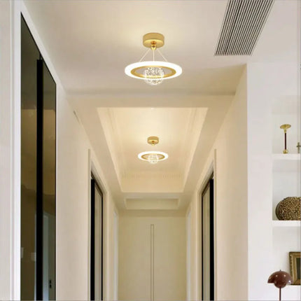 Plafonnier LED moderne pour éclairage intérieur élégant — LZ4X9P2