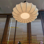 Type C D21,5 cm / Lumière neutre