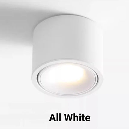 Plafonnier LED rond à intensité variable monté en surface — LZ4X9P2