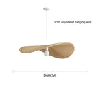 Éphédra-60cm / Lumière naturelle 4500K