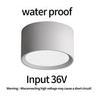 Input AC85V-265V / 18W D168xH100mm / White light 6000K | CN