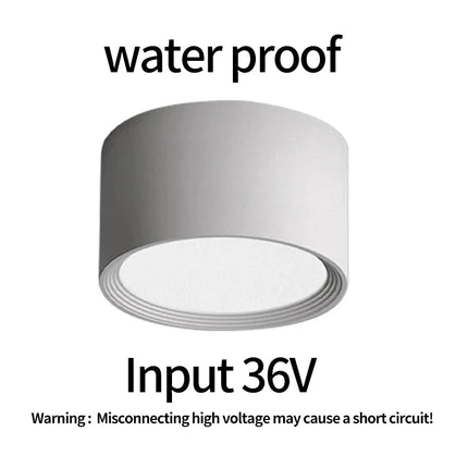 Spot LED étanche à haute luminosité pour montage en surface extérieur — LZ4P9XJ
