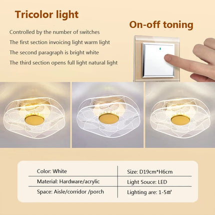Plafonnier LED design en acrylique pour décoration intérieure — LZ4X9J