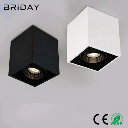 Plafonnier LED dimmable pour éclairage intérieur — LZ7XQ2
